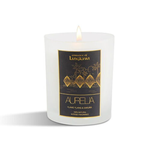 sakura kokulu transparan mum