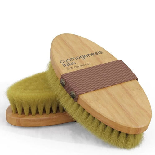 Cosmogenesis Labs Kuru Vücut Fırçası