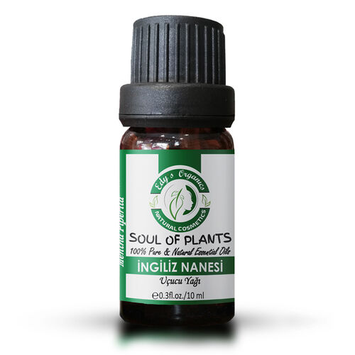 aromatik nane uçucu yağı