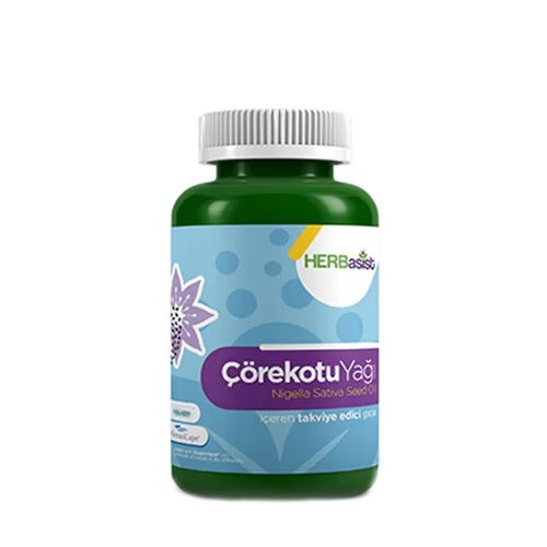 reishi mantarı desteği enerji ve dinçlik